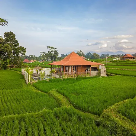 Villa Suda Ubud By Dhananjaya Hospitality