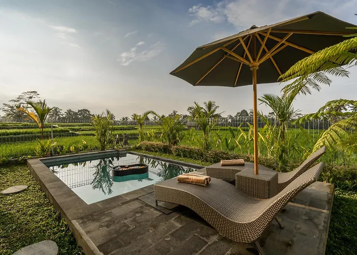 Suda By Dhananjaya Hospitality 4*